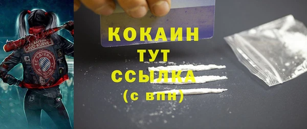 стаф Абаза