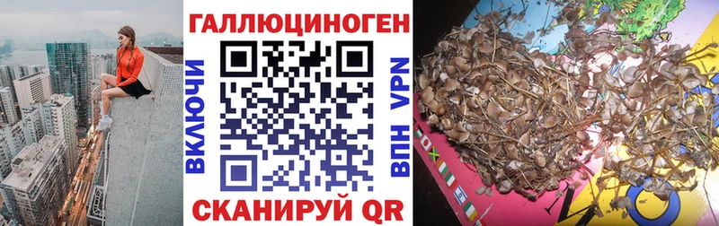 Галлюциногенные грибы GOLDEN TEACHER  Райчихинск 