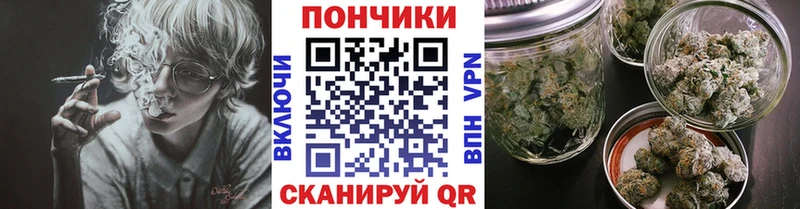 продажа наркотиков  MEGA tor  Бошки марихуана Bruce Banner  Райчихинск 